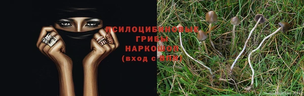кокаин Алексеевка