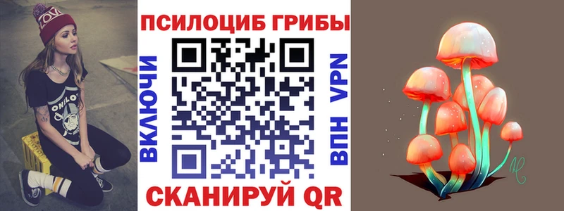 Псилоцибиновые грибы мицелий  Трубчевск 